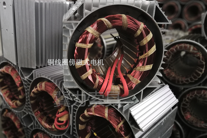 電動(dòng)提升機的電機零件