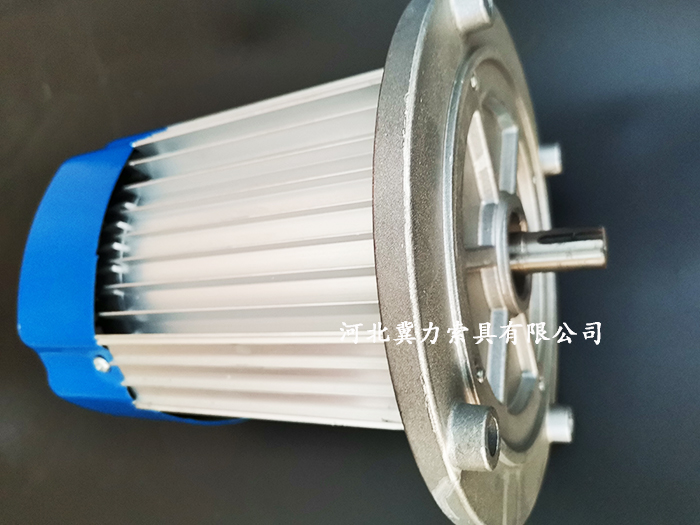 多功能電動(dòng)提升機電機展示