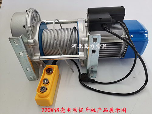 220V鋁殼電動(dòng)提升機展示圖